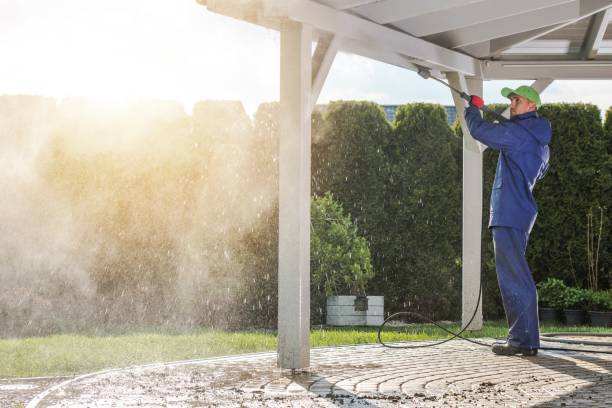 Best Roof Washing  in Lake Isabella, MI