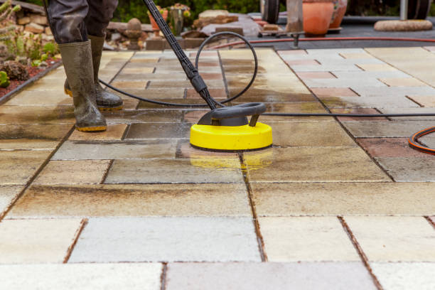 Best Dumpster Area Cleaning  in Lake Isabella, MI