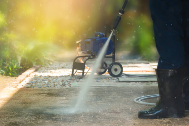 Boat and Dock Cleaning in Lake Isabella, MI